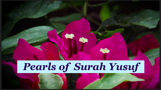 pearls of surah yusur